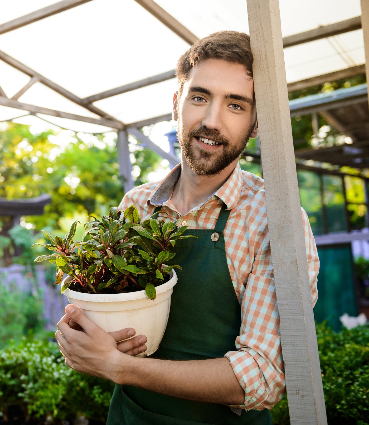 Professionnel Garden For You tenant une composition végétale en pépinière